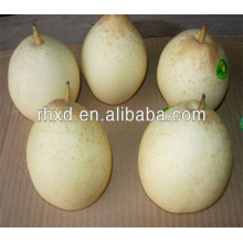nueva fruta de pera barata a granel con alta calidad